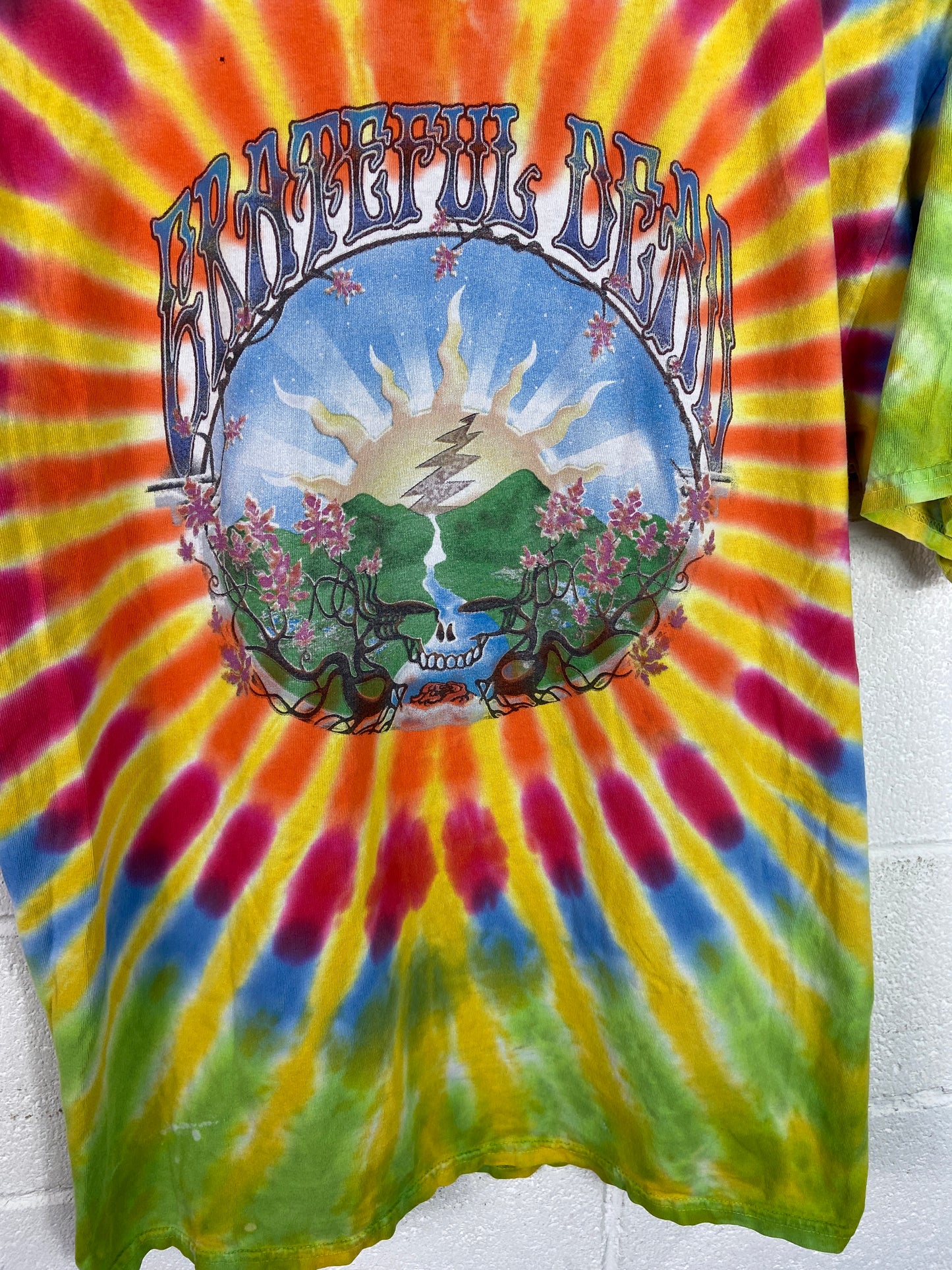 Grateful Dead Waterfall Print Tee Sz L