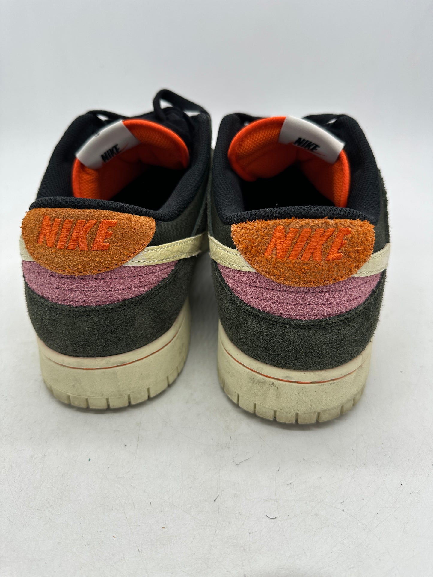 Preowned Nike Dunk Low SE Gone Fishing Rainbow Trout Sz 13M/14.5W FN7523-300