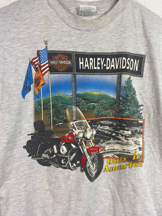 VTG 1991 Harley Davidson Pennsylvania Tee Sz S